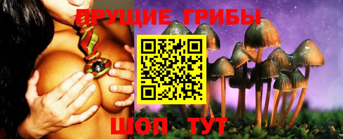 Галлюциногенные грибы Magic Shrooms  Вход с VPN  Галлюциногенные грибы мицелий  Новокуйбышевск 